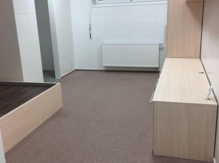 Pronájem bytu, 1+kk, 30 m²