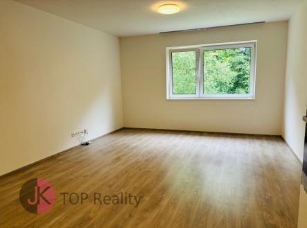 Pronájem bytu, 2+kk, 59 m²