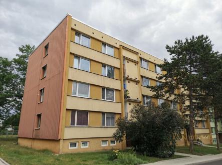 Pronájem bytu, 1+kk, 23 m²