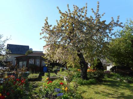 Prodej - pozemek pro bydlení, 749 m²
