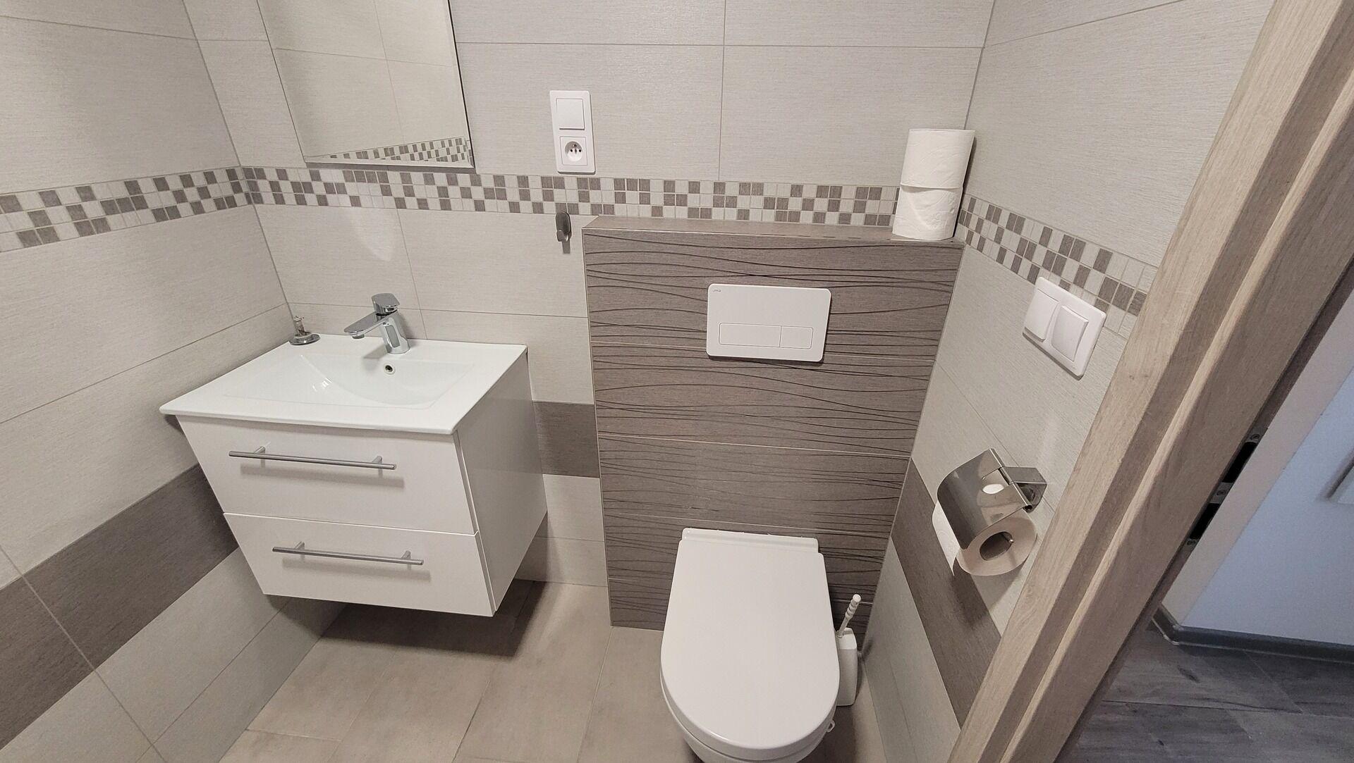 Pronájem bytové jednotky 1kk