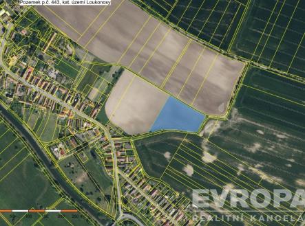 Prodej pozemku, zemědělská půda, 11 184 m²