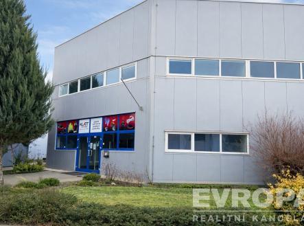 Pronájem obchodní prostor, 600 m²