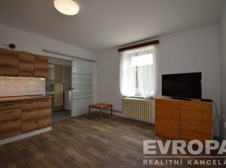 Pronájem bytu, 1+kk, 24 m²