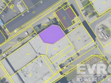 Pronájem obchodní prostor, 600 m²