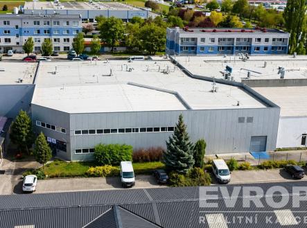 Pronájem obchodní prostor, 600 m²