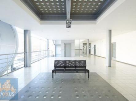 Pronájem kanceláře, 50 m²