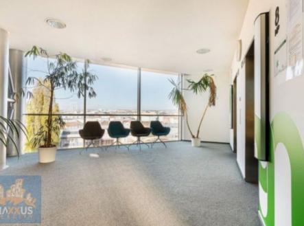 Pronájem kanceláře, 910 m²