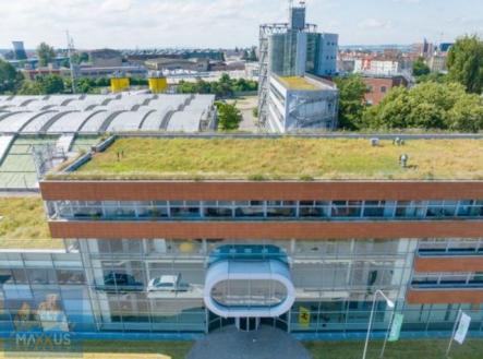 Pronájem kanceláře, 54 m²