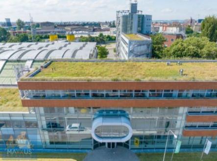 Pronájem kanceláře, 25 m²