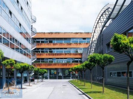 Pronájem kanceláře, 25 m²