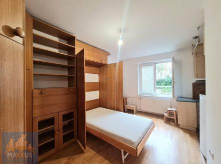 Pronájem bytu, 1+kk, 24 m²