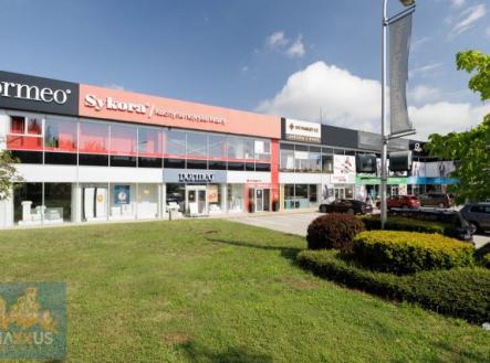 Pronájem obchodní prostor, 267 m²