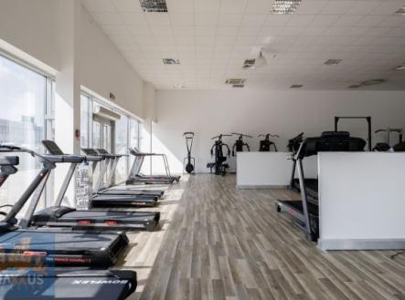 Pronájem obchodní prostor, 490 m²