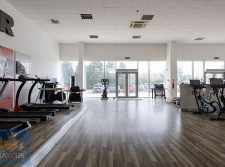 Pronájem obchodní prostor, 490 m²