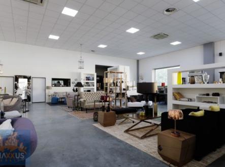 Pronájem obchodní prostor, 259 m²