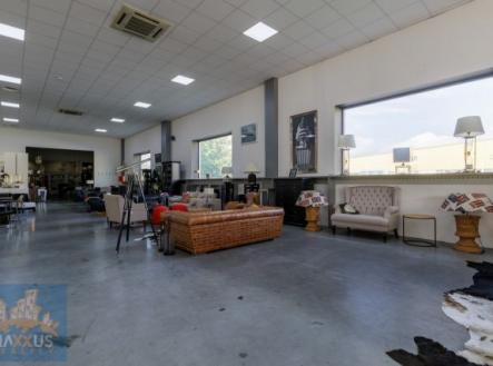 Pronájem obchodní prostor, 259 m²