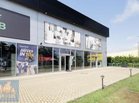 Pronájem obchodní prostor, 259 m²