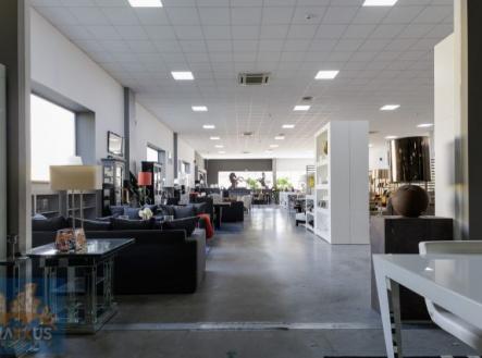 Pronájem obchodní prostor, 259 m²