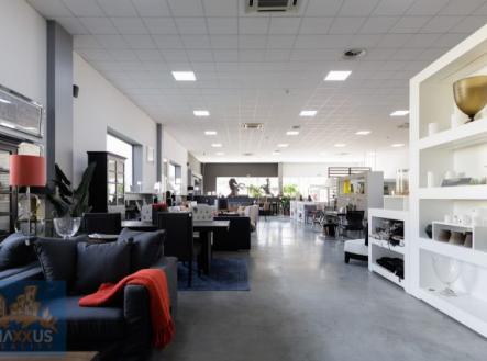 Pronájem obchodní prostor, 518 m²