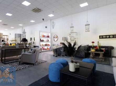 Pronájem obchodní prostor, 518 m²