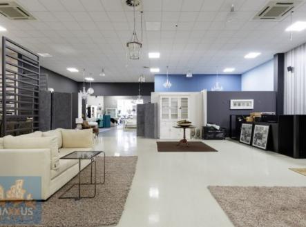Pronájem obchodní prostor, 396 m²
