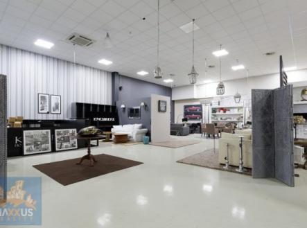 Pronájem obchodní prostor, 396 m²