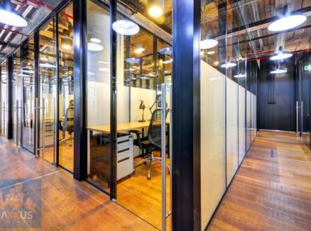 Pronájem kanceláře, 13 m²