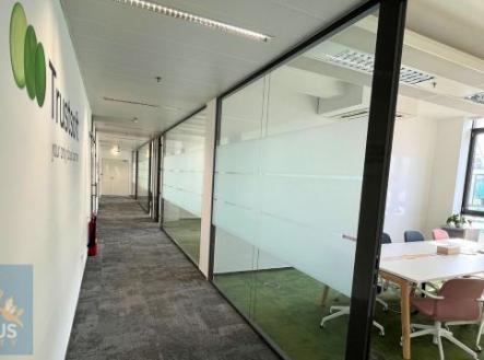 Pronájem kanceláře, 315 m²