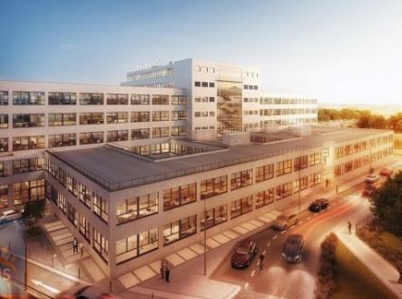 Pronájem obchodní prostor, 241 m²