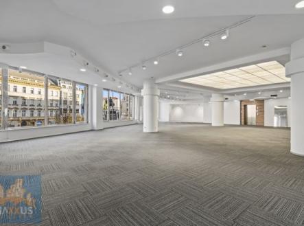 Pronájem - obchodní prostor, 480 m²