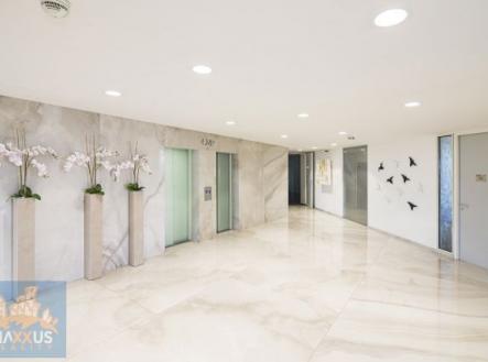 Pronájem kanceláře, 46 m²