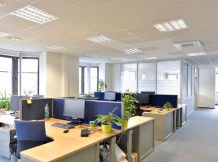 Pronájem kanceláře, 293 m²