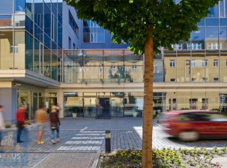 Pronájem kanceláře, 485 m²