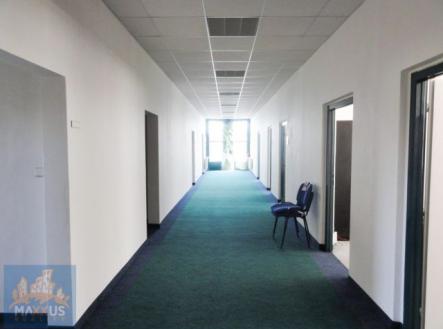Pronájem - kanceláře, 42 m²