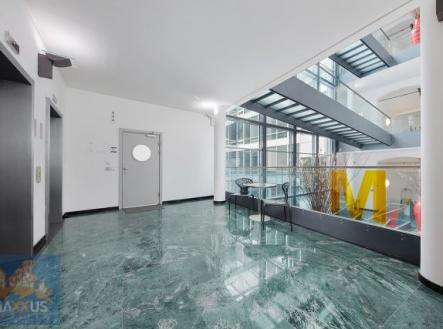 Pronájem kanceláře, 300 m²