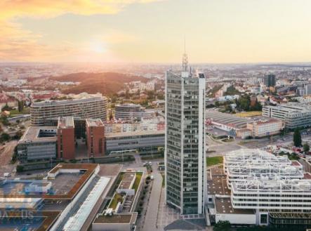 Pronájem kanceláře, 554 m²