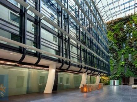 Pronájem kanceláře, 343 m²