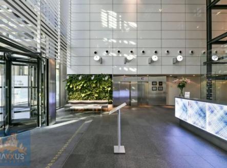 Pronájem kanceláře, 664 m²