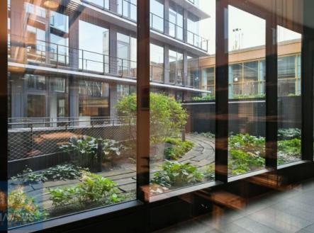 Pronájem kanceláře, 664 m²