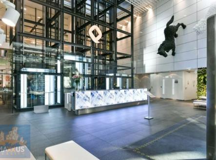 Pronájem kanceláře, 664 m²