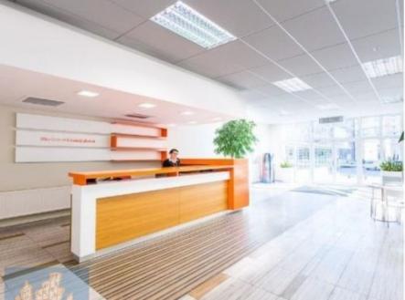 Pronájem kanceláře, 417 m²