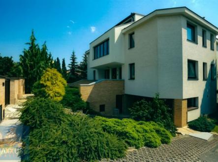 Pronájem - dům/vila, 436 m²