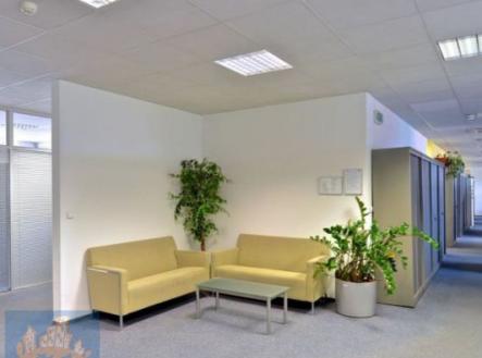 Pronájem kanceláře, 650 m²