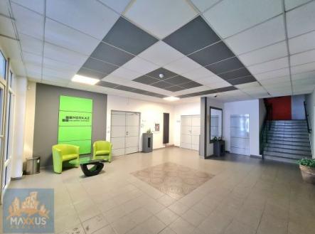 Pronájem kanceláře, 21 m²