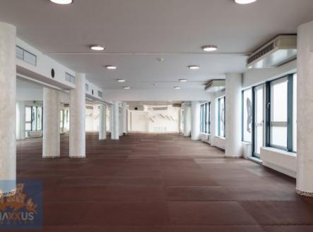 Pronájem obchodní prostor, 360 m²