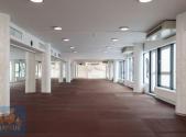 Pronájem obchodní prostor, 360 m²