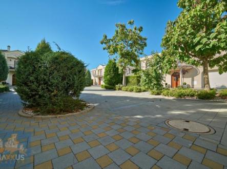 Pronájem domu/vily, 243 m²