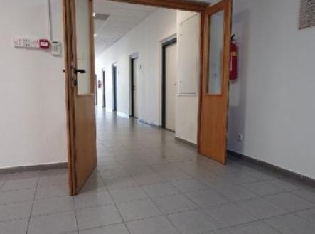 Pronájem kanceláře, 13 m²