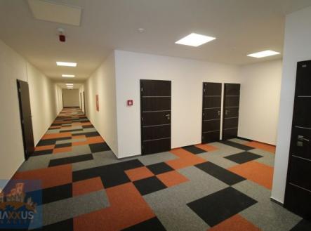 Pronájem kanceláře, 82 m²